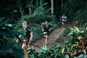 BIB: 
                            <button type="button" onclick="openModal(25803848)" class="btn btn-primary btn-sm float-right btn-popup" data-toggle="modal" data-target=".modal-high-quality">
                        <i class="fas fa-shopping-cart"></i> Add to Cart
                    </button>
                                            <button type="button" onclick="isThisMe(25803848, true)" class="btn btn-success btn-sm float-right btn-popup btn-isme hidden" data-toggle="tooltip" data-placement="bottom" title="นี่คือรูปของคุณใช่ไหม คลิกที่นี่เพื่อเอาเข้าอัลบั้ม">
                        <i class="fas fa-plus"></i> Add to album
                    </button>
                    <button type="button" onclick="isThisMe(25803848, false)" class="btn btn-warning btn-sm float-right btn-popup btn-isnotme hidden">
                        <i class="fas fa-ban"></i> Remove from album
                    </button>